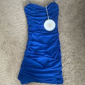 NWT Princess Poly LE Earth Club Dress
